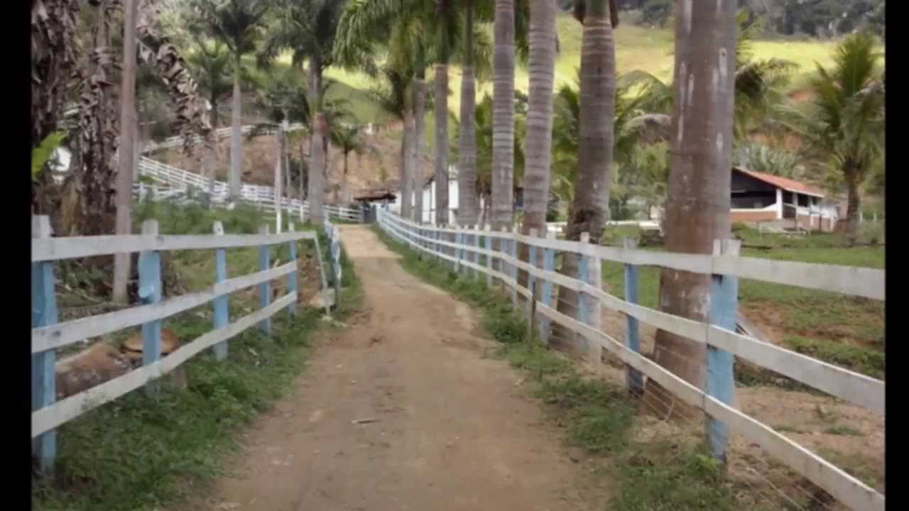 Gandolfi Im&oacute;veis vende fazenda em Bom Jardim-Banquete. Fa025