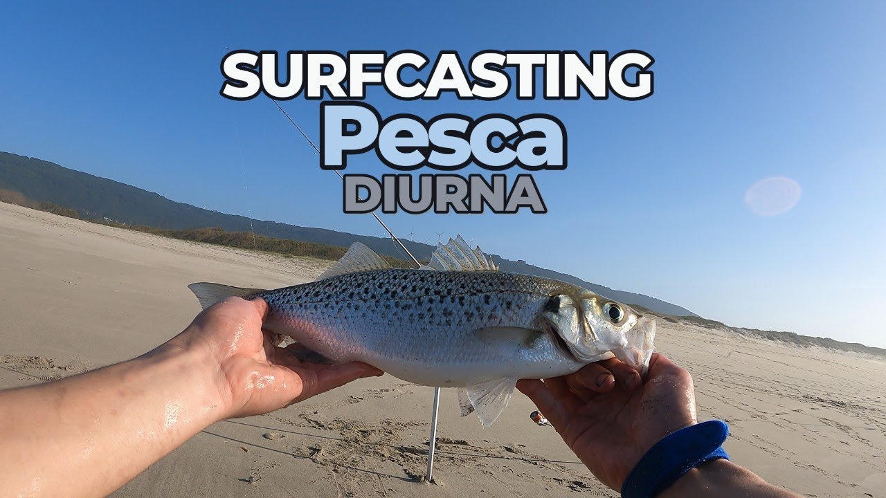 Surfcasting Diurno