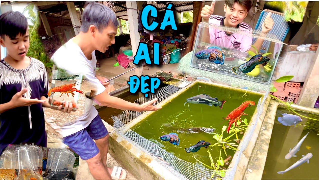 Review Cá Cảnh Của Hiệp Sĩ Và Fake Được Tặng Nhiều Cá Đẹp |ATK