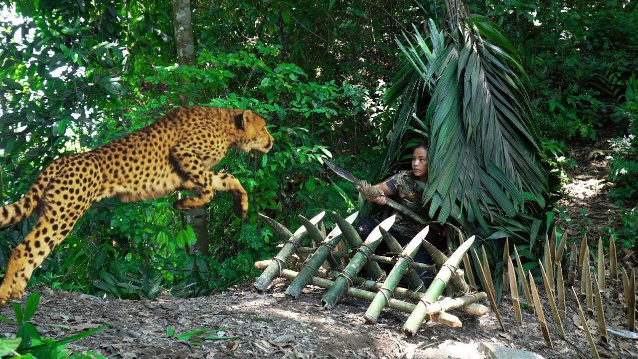 100 Days of Survival in the Wild: Facing Wild Animals and Survival Instincts | phượng p&uacute;