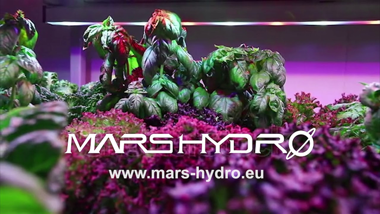 Mars Hydro TS 3000 Grow Light