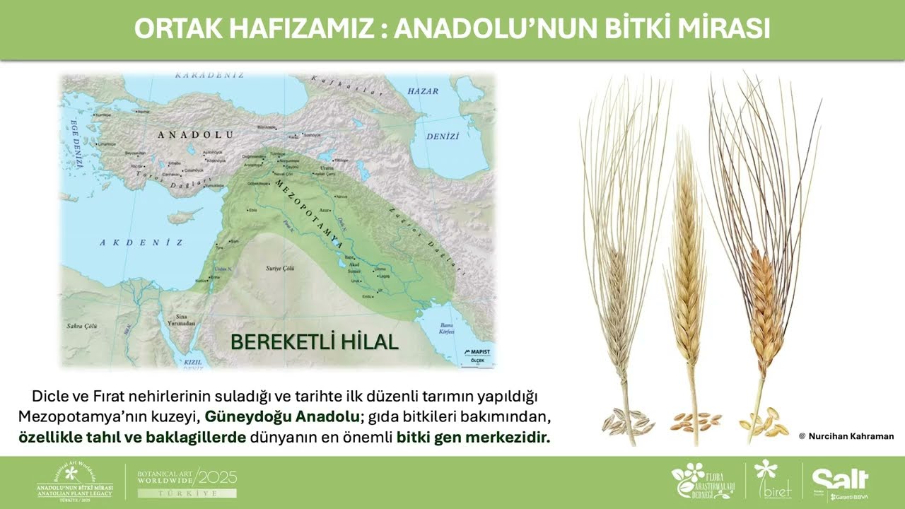 Anadolu'nun Bitki Mirası