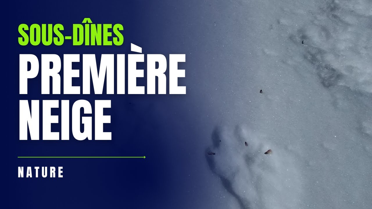 Première neige à sous-dînes [EVOLUTION]