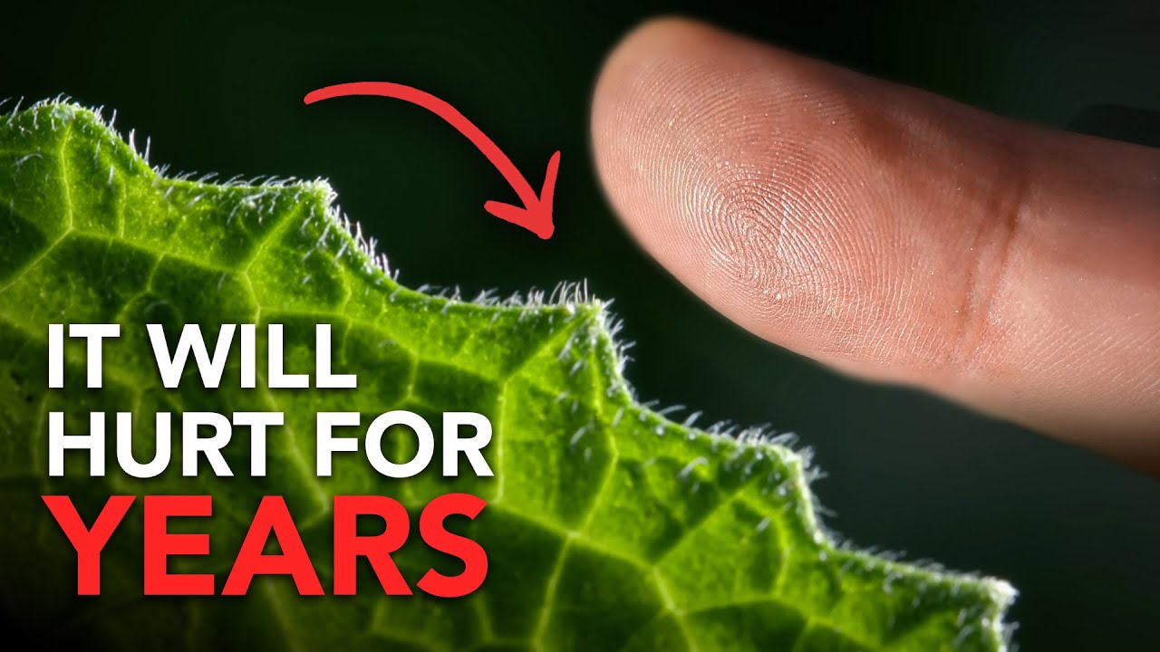 The Craziest Animal Facts