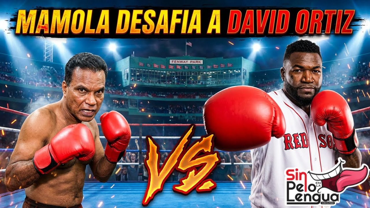 PRÓXIMA PELEA MAMOLA VS DAVID ORTIZ