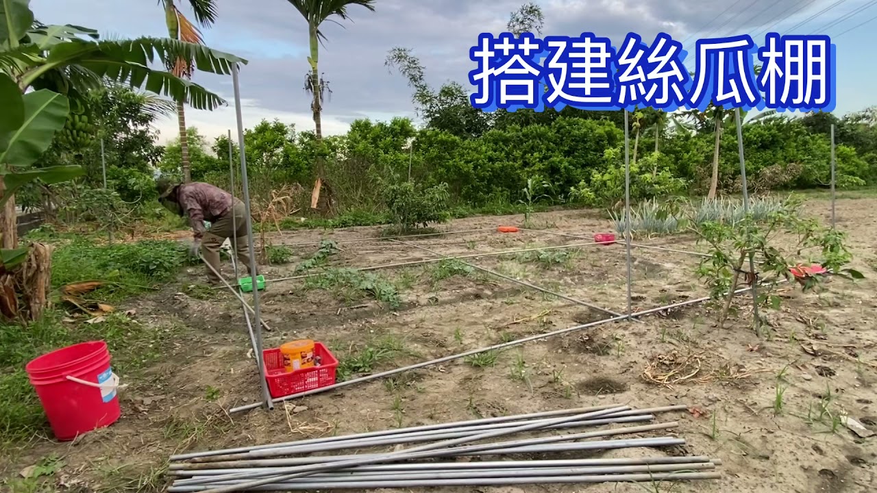 衝擊式挖洞器立架搭絲瓜棚