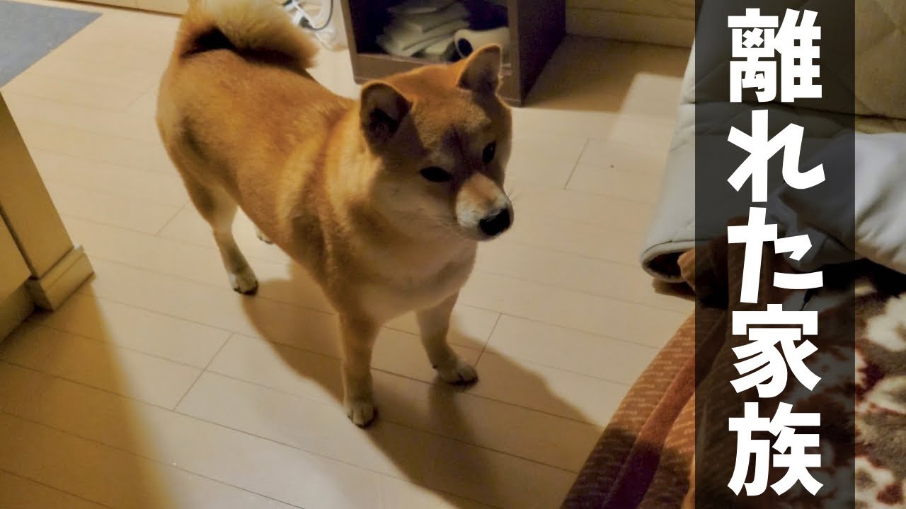 家族が離れて大切な事に気づいた一日