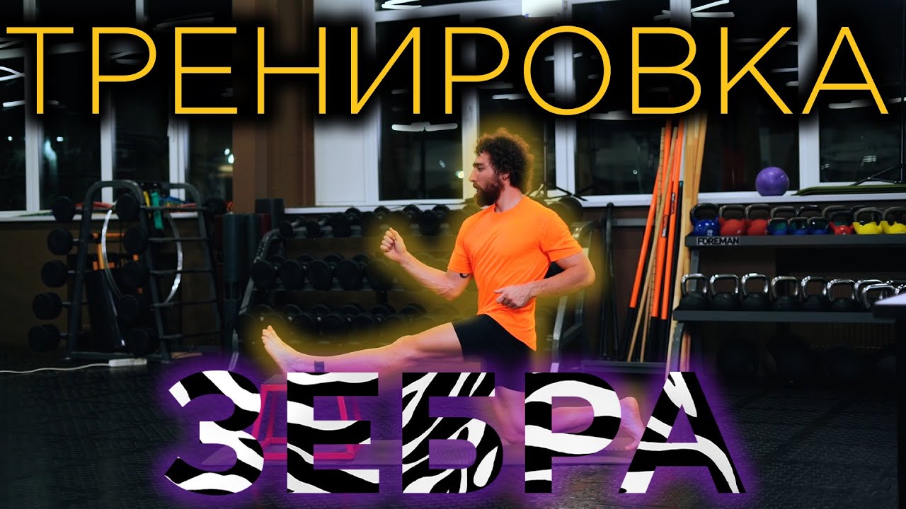 Тренировка зебра. Как накачать ягодицы и мобильность тазобедренных суставов!