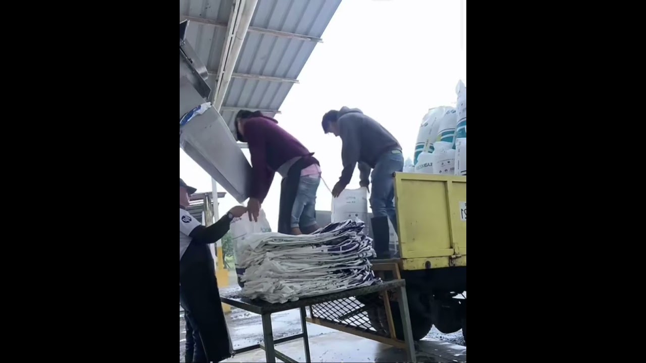 Gheata Alba Se Toaca Si Se Ambalează In Sacii De Rafie