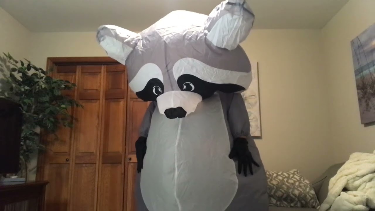Putting on my new inflatable raccoon costume 