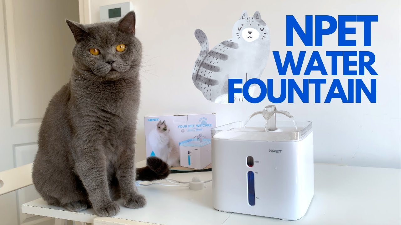 UNBOXING NPET PET WATER FOUNTAIN