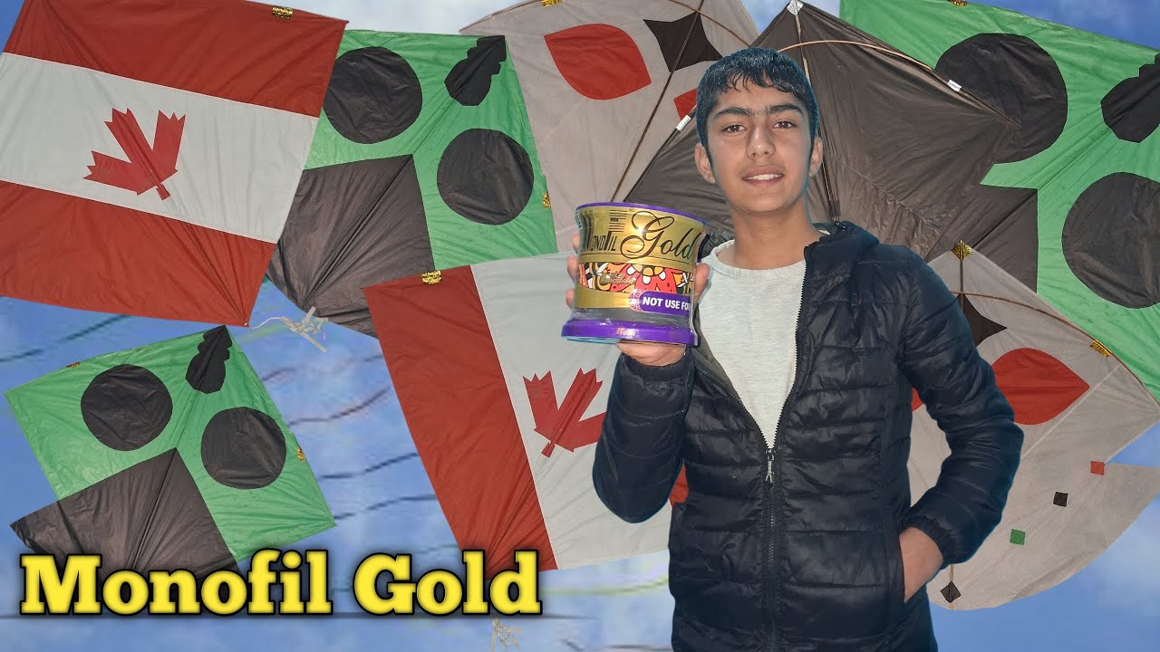 Flying kites with monofil gold🤩 | Patangbazzi sangrur |