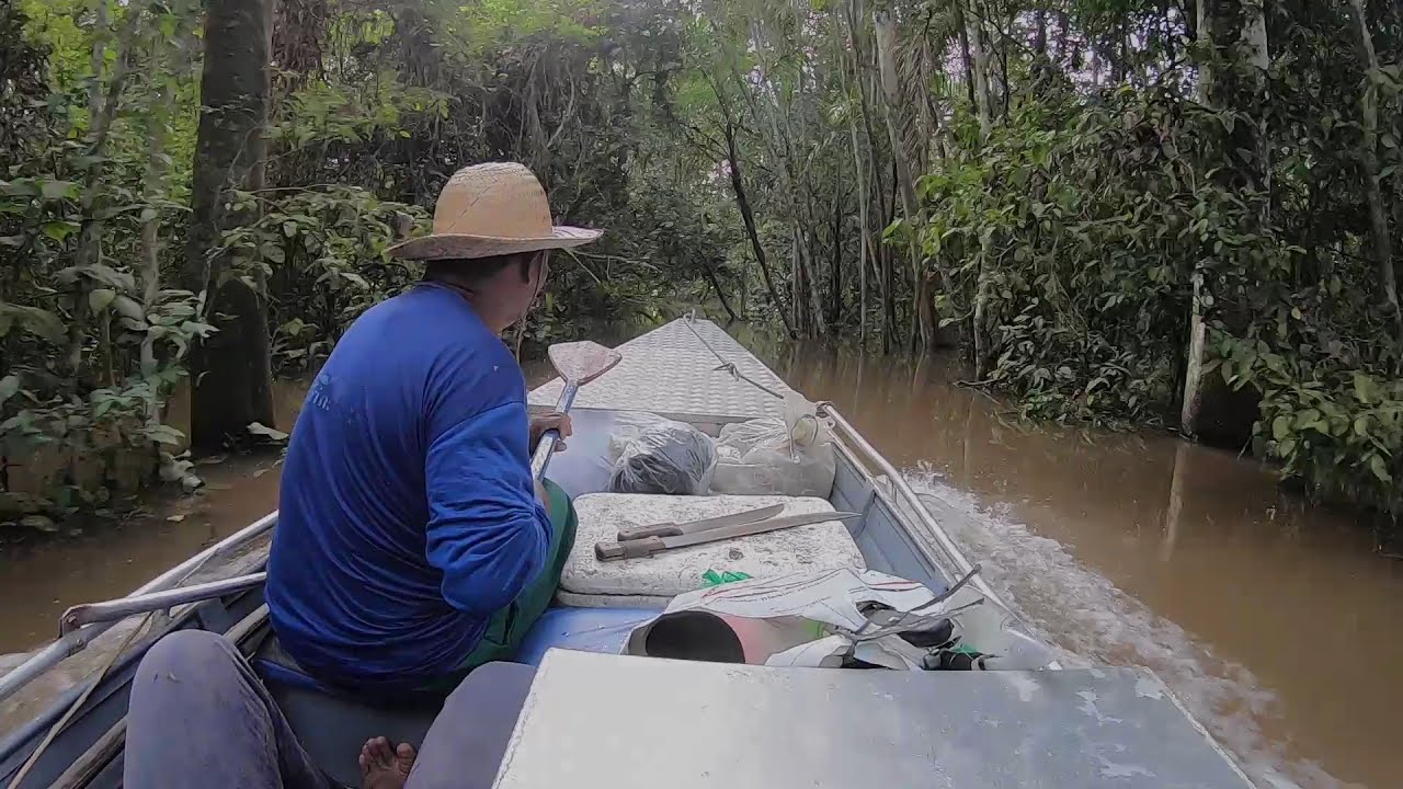 Navegando na floresta alagada - Grande Enchente de 2021 na Amazônia