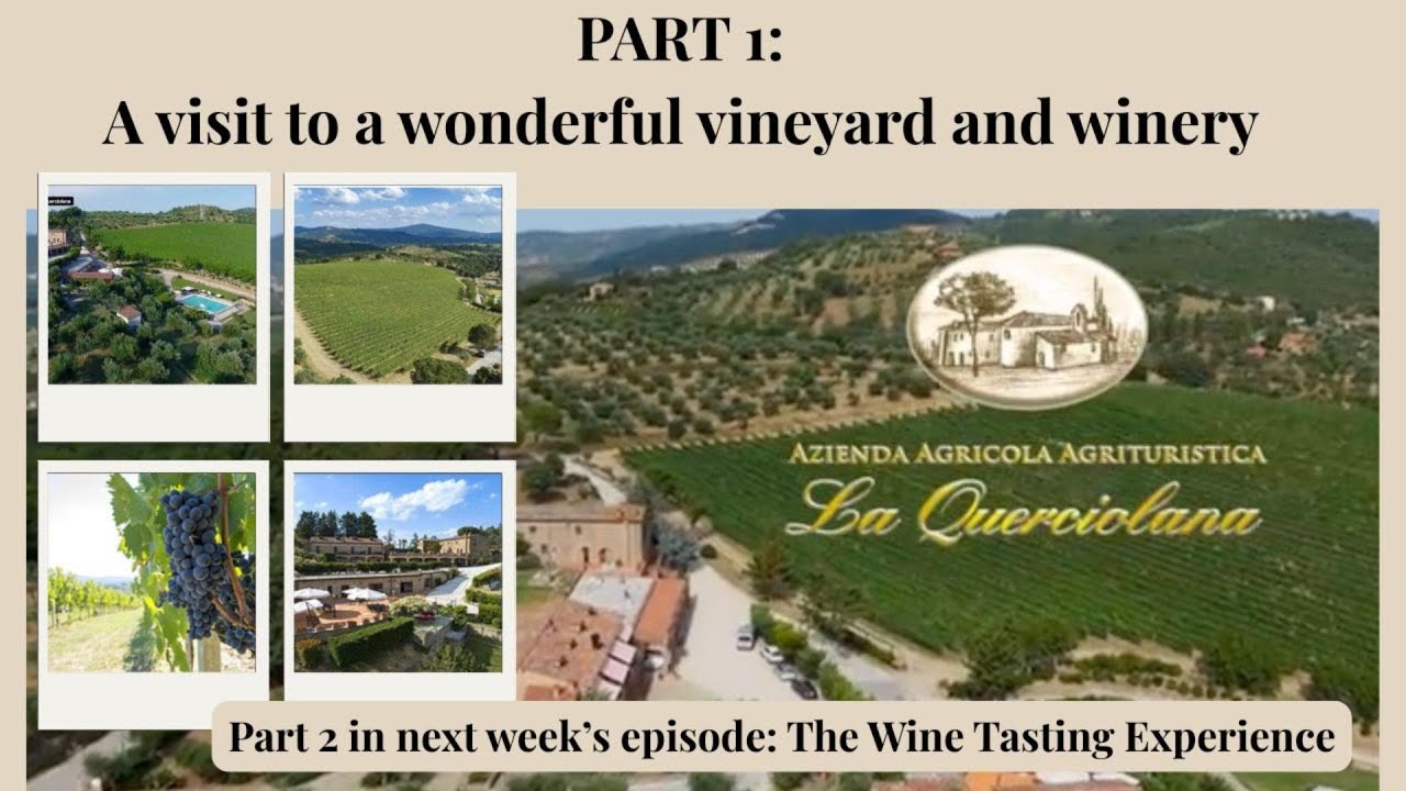 Part one of an amazing vineyard tour and tasting