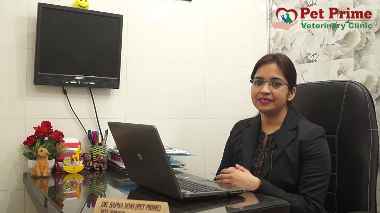 Who We Are || Pet Prime Veterinary Clinic