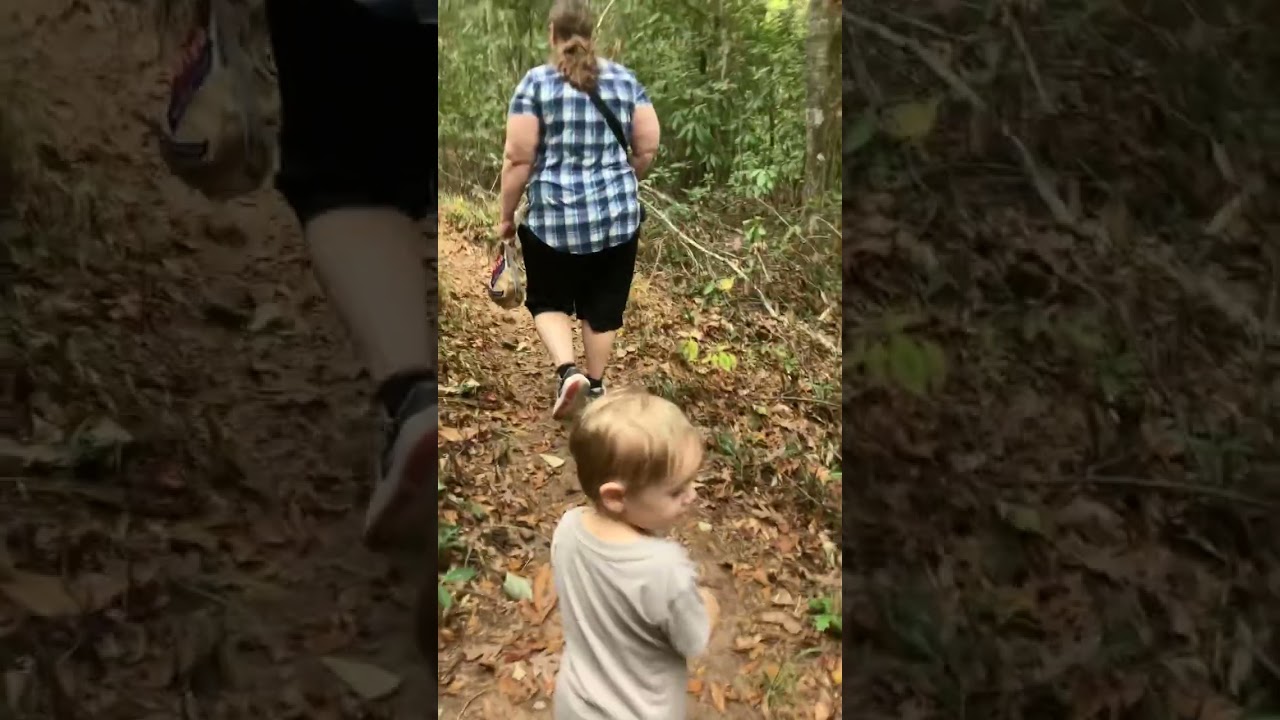 Exploring the forest : )