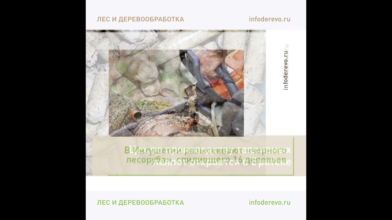 Новости ЛПК. Самое интересное за неделю!