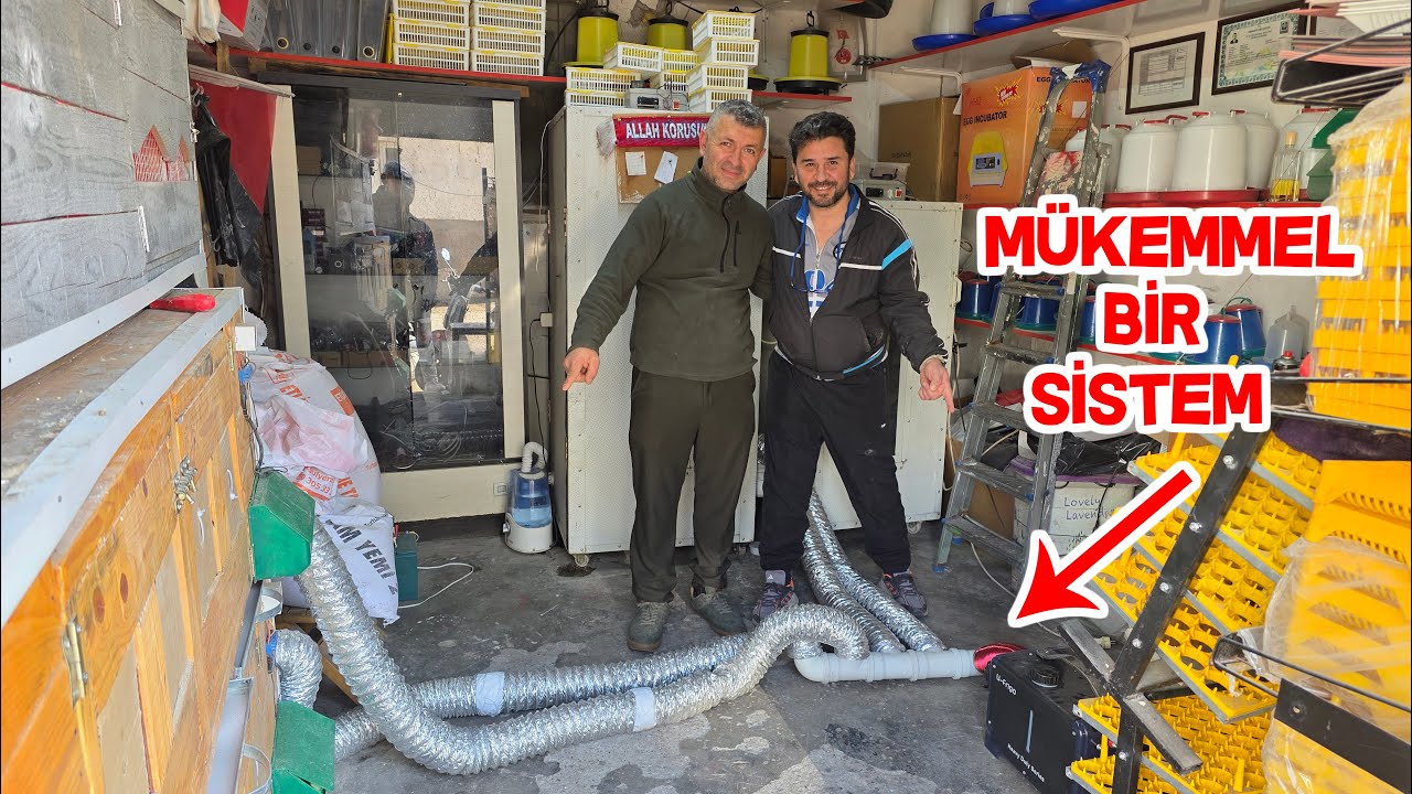 Kuluçka Makinesi ve Civciv Yetiştirme de Türkiye de İlk ve Tek