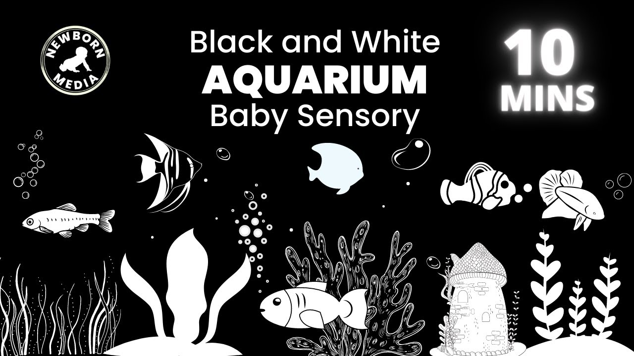 Black and White Baby Sensory | Aquarium | High Contrast  Video with Relaxing Music | Newborn Media