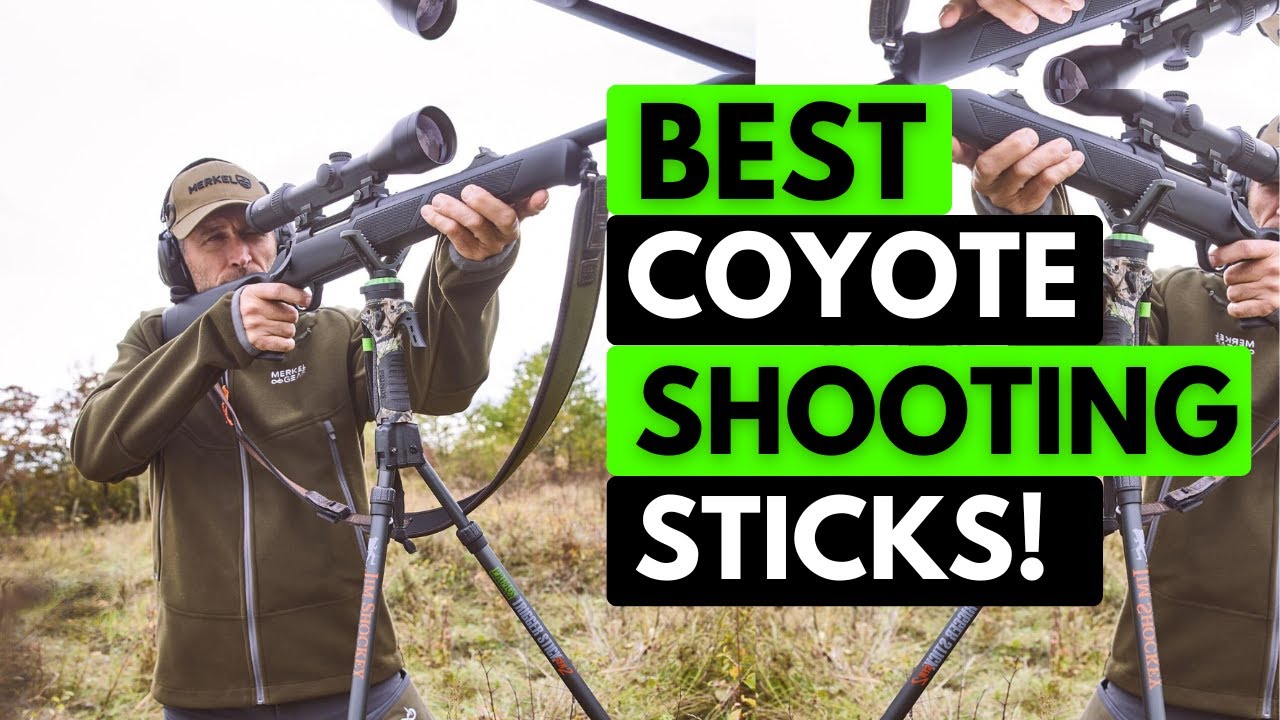 5 Best Coyote Shooting Sticks In 2025