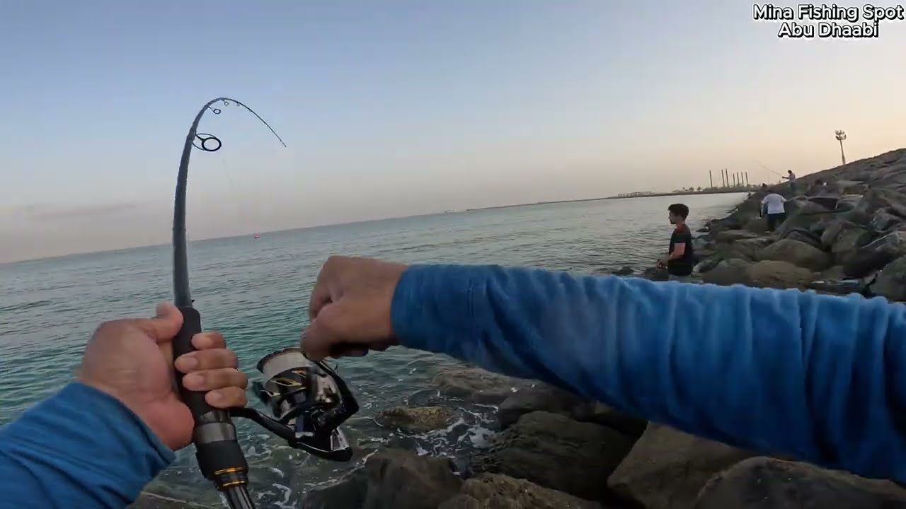 Shimano Stella и Daiwa Saltiga!! Лучшие рыболовные катушки!!