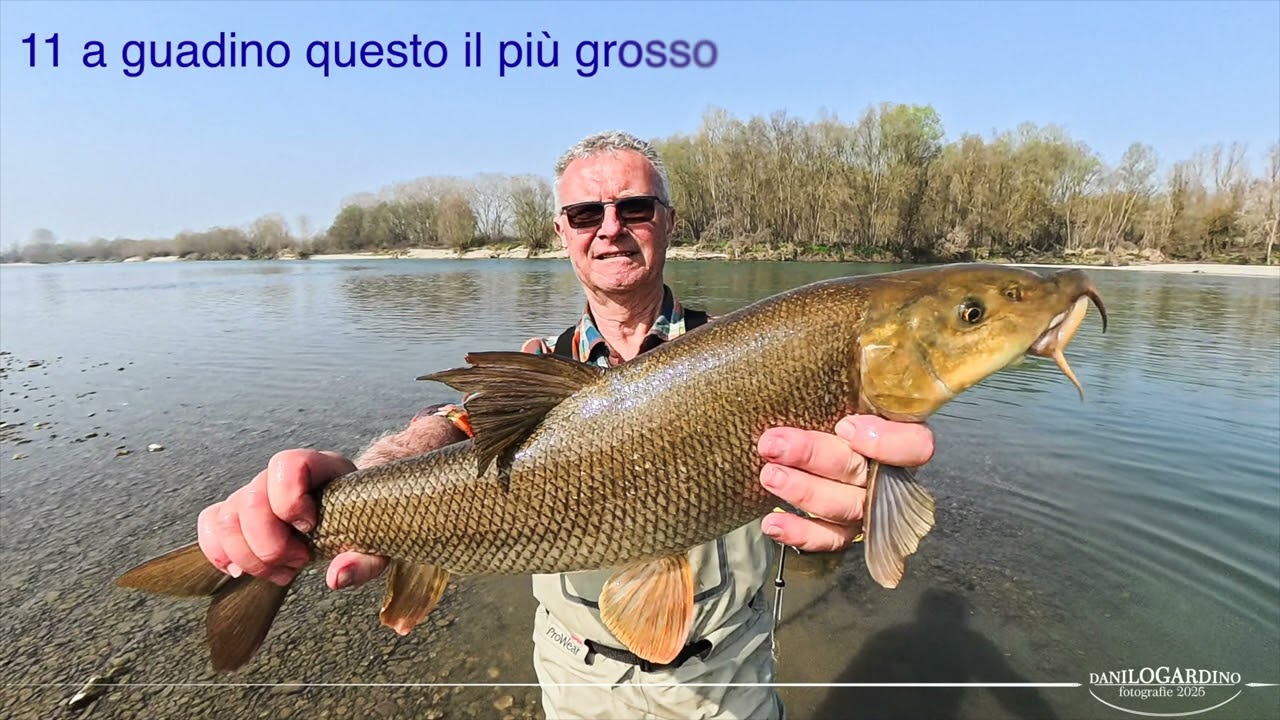Siluro a bolo