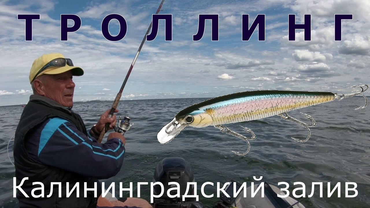 VLOG: Троллинг. Калининградский залив. Август 2020.