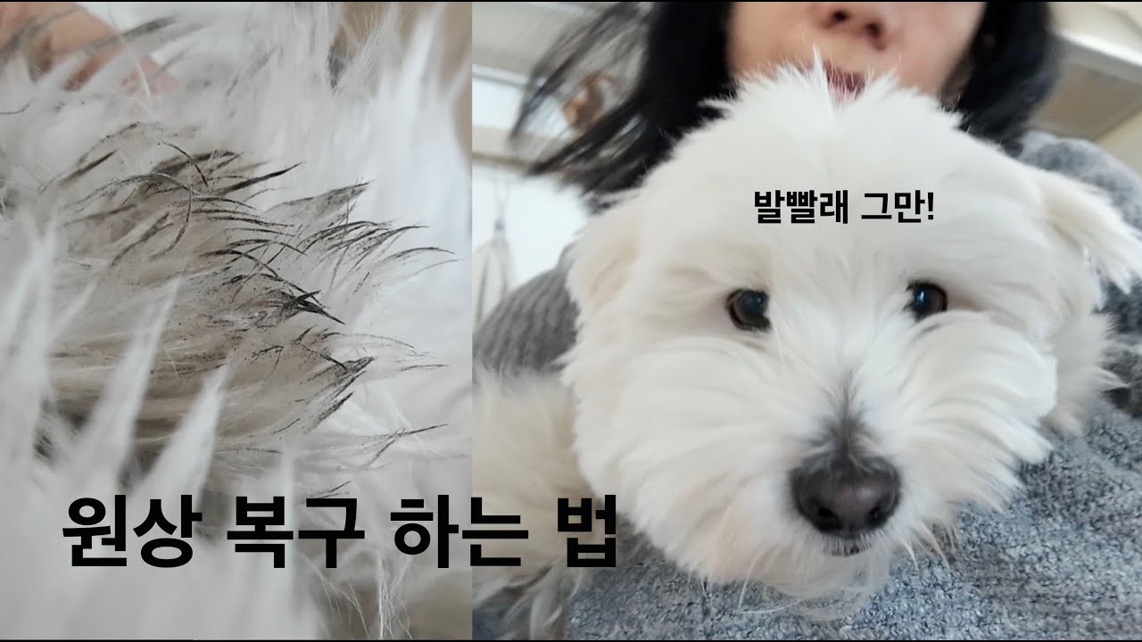 오염 제거 비법 !!!