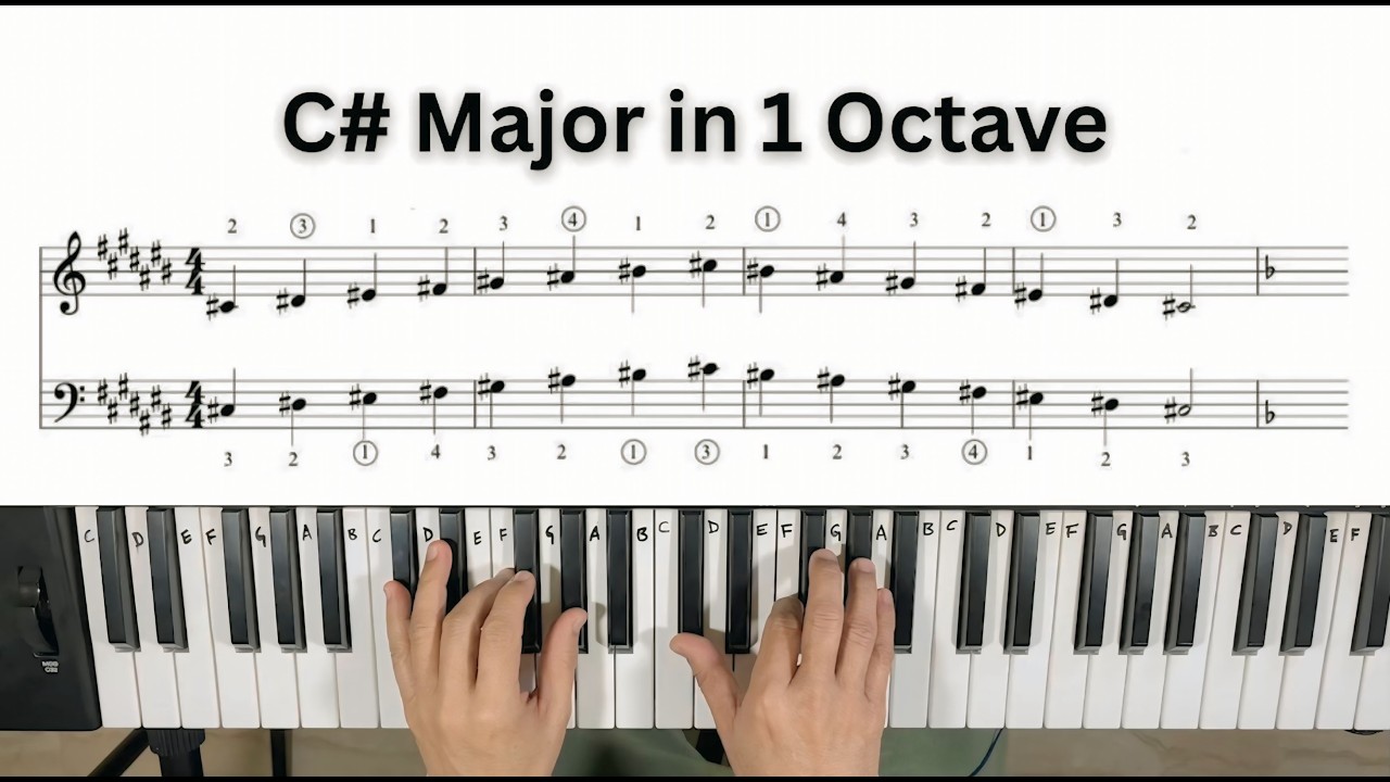 C# Major Scale on PIano I Beginner Lesson