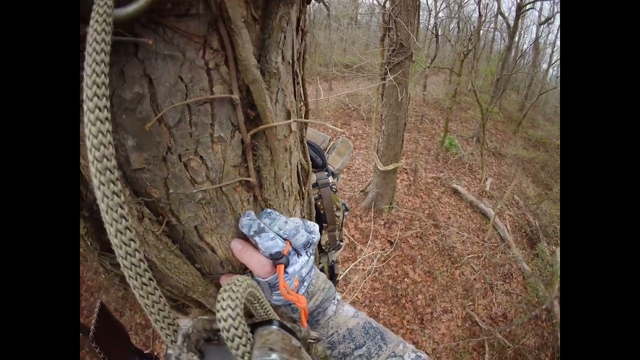 Big 4 point with a tiny brow (illegal buck) to get the blood pumping! 