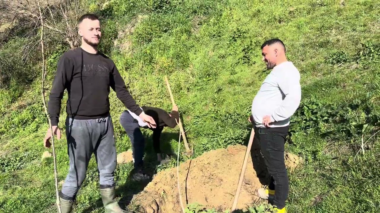 16 shkurt gjatë Mbjelljes së Pemëve 🤝Ndroq