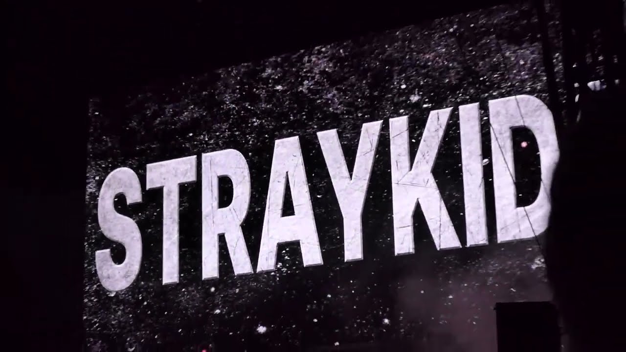 Stray Kids Full Show Live Lollapalooza Music Festival August 2 2024 Chicago IL Grant Park