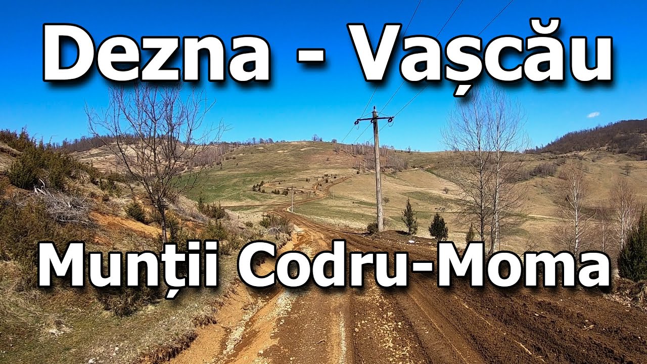 Dezna - Vascau |  Valea Zugaului, Codru Moma
