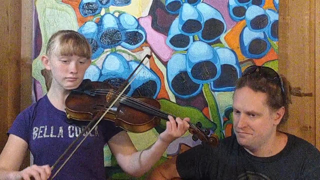 Day 162 of 365 Days of Fiddle Italian Waltz