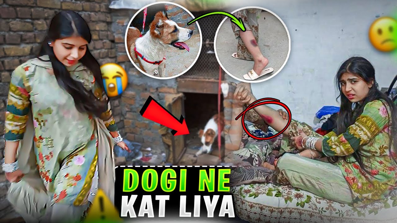 dog attack | bhot pain ho raha hai | Rabia Simple vlog