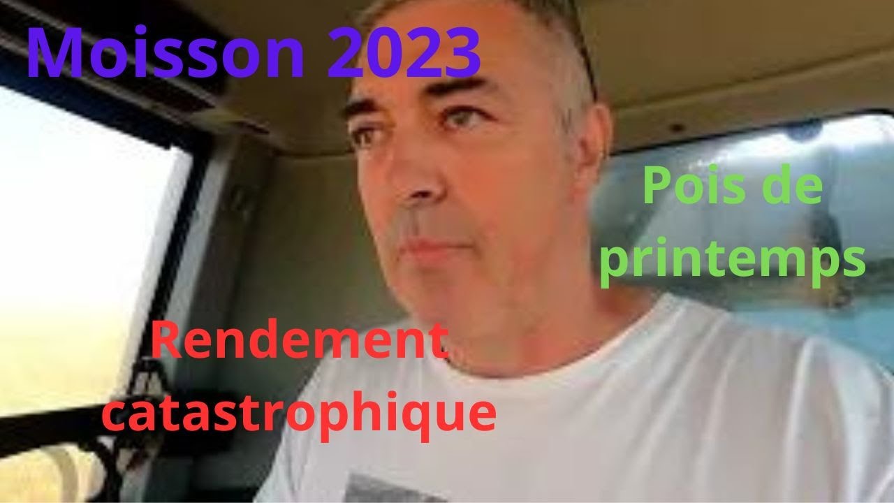 Moisson 2023 Pois de printemps Extraordinaire rendement de 26qx