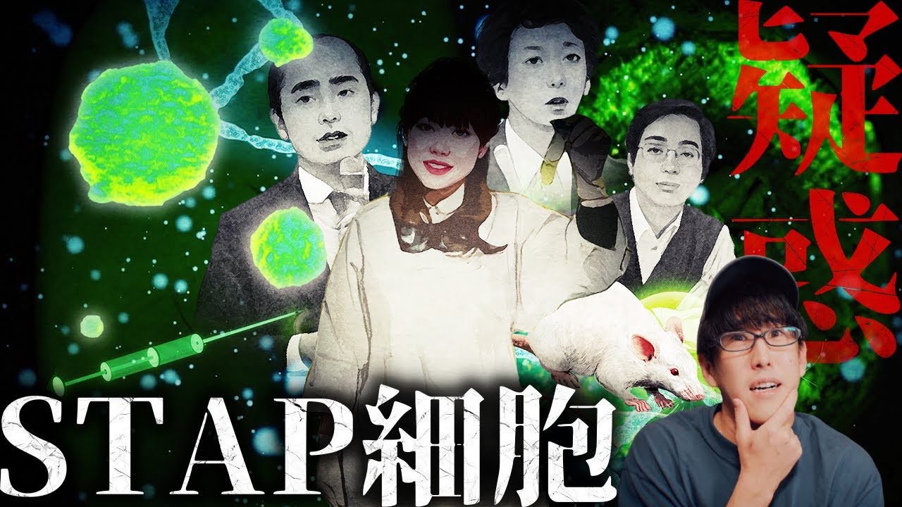 STAP細胞はどこに行ってしまったのか？（深堀）