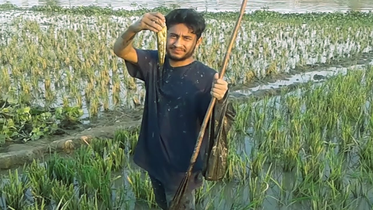 Old Traditional Village Fishing Technique | Primitive Fishing Method | Best fishing video
