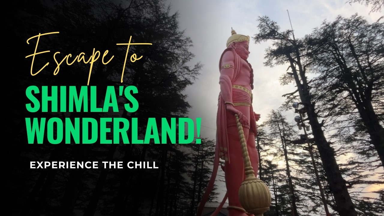 Delhi to Shimla Road Trip ❄️ | Crazy Cold, Scenic Views & Trekking Gone Wrong 😱