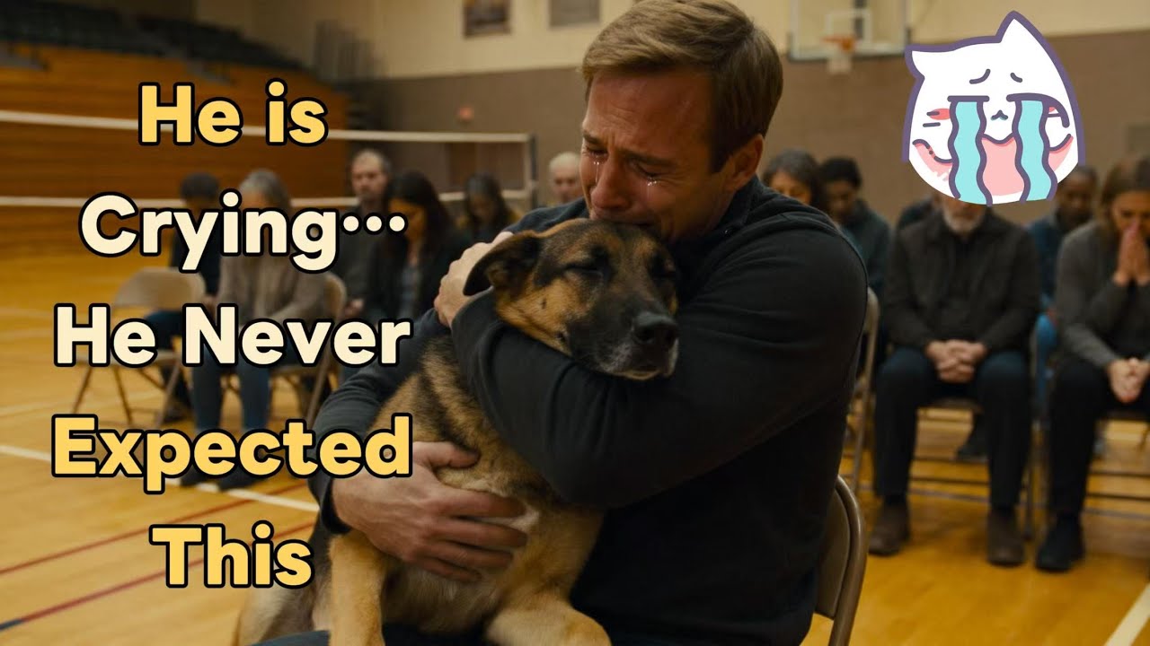 When Dogs Choose Their Humans - MagicalNew Year Adoption Moments