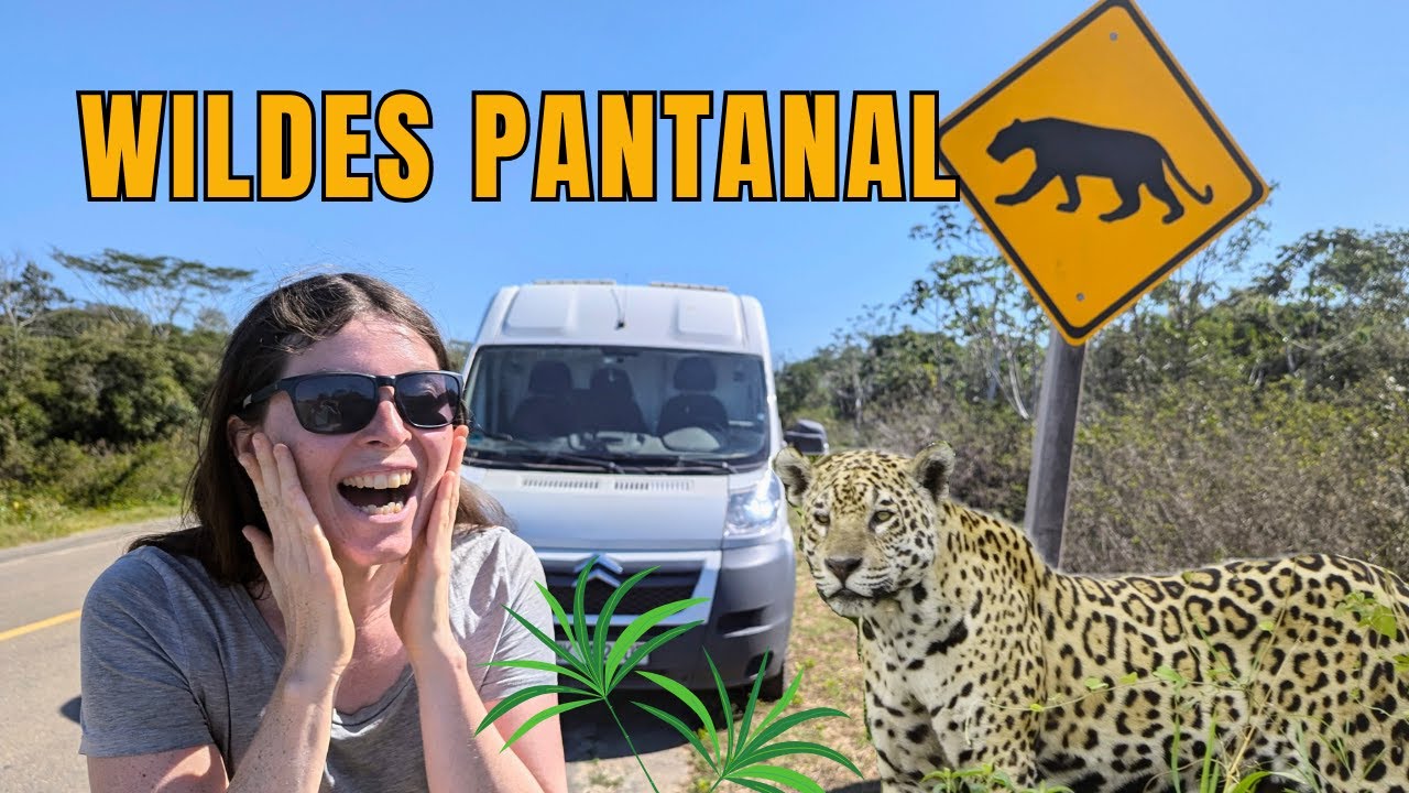 DAS GLAUBT UNS KEINER: Jaguare, Bonito und die Transpantaneira! Vanlife Brasilien #VLOG48
