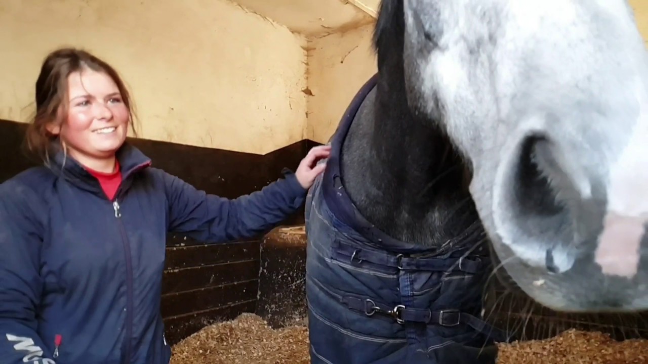 Tracey Collins on The Curragh Training Grounds