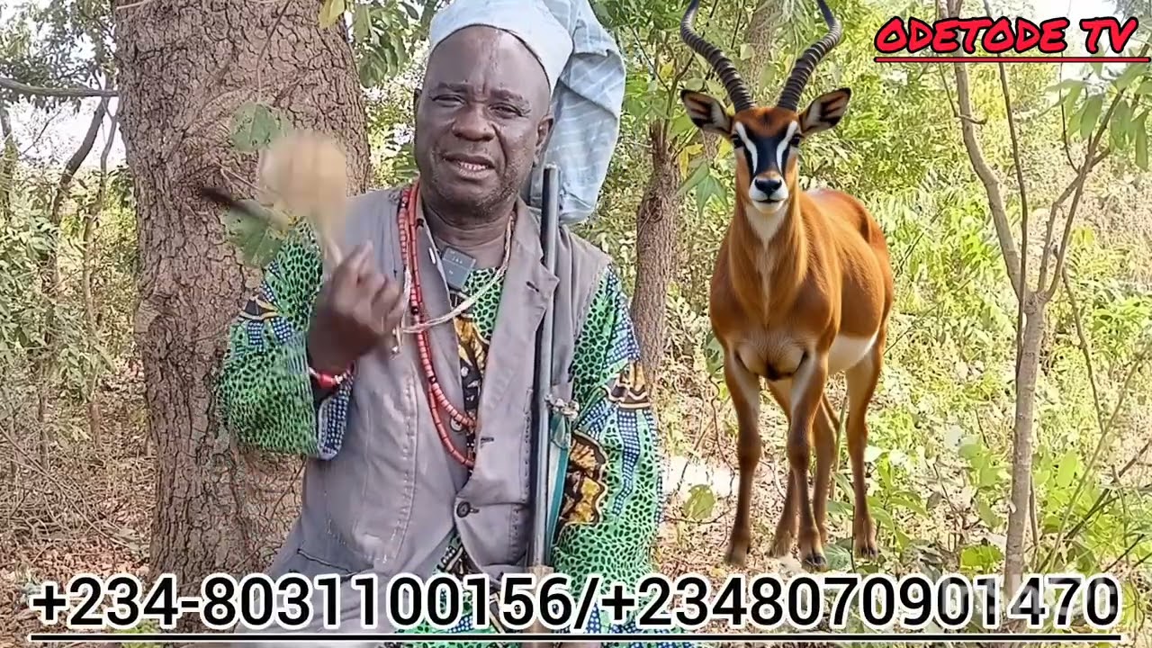 ERANKO ABAMI NI IMOSIA,O FI OJU MI RI MO BO NIGBO(OLUODE ADANGBA)#africa #sasafesimwenkitemondsa 