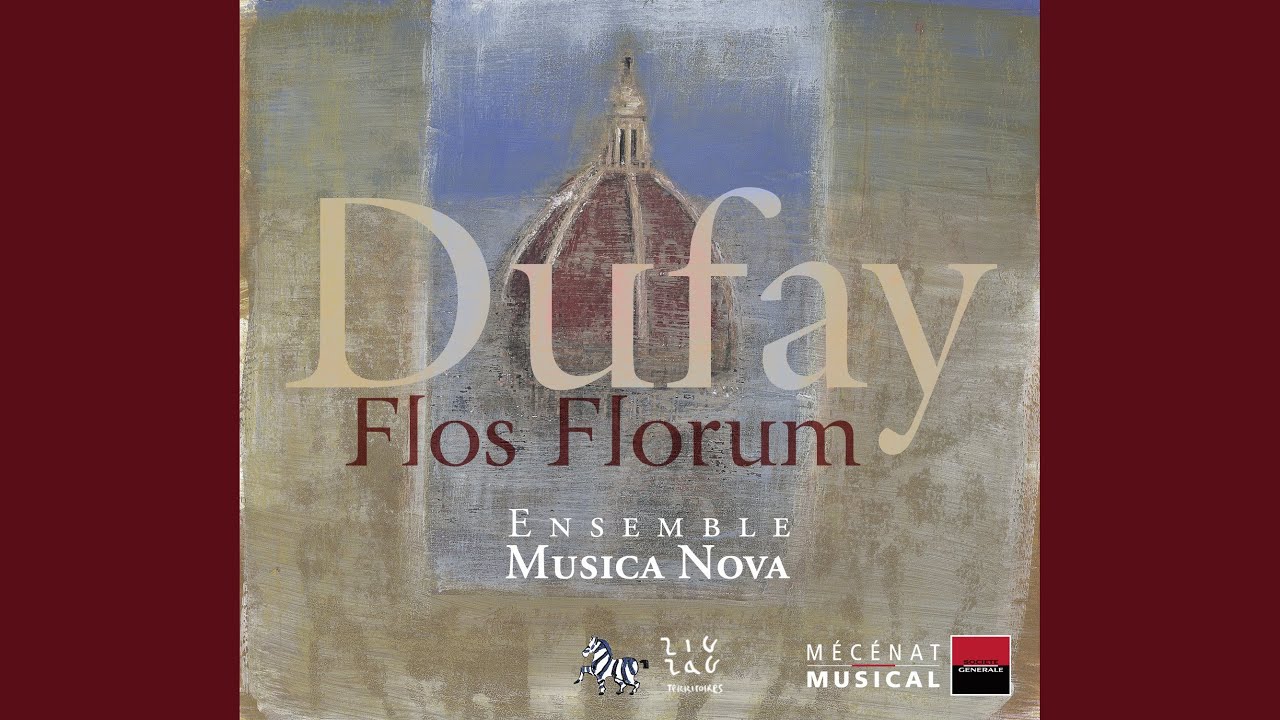 Salve-flos