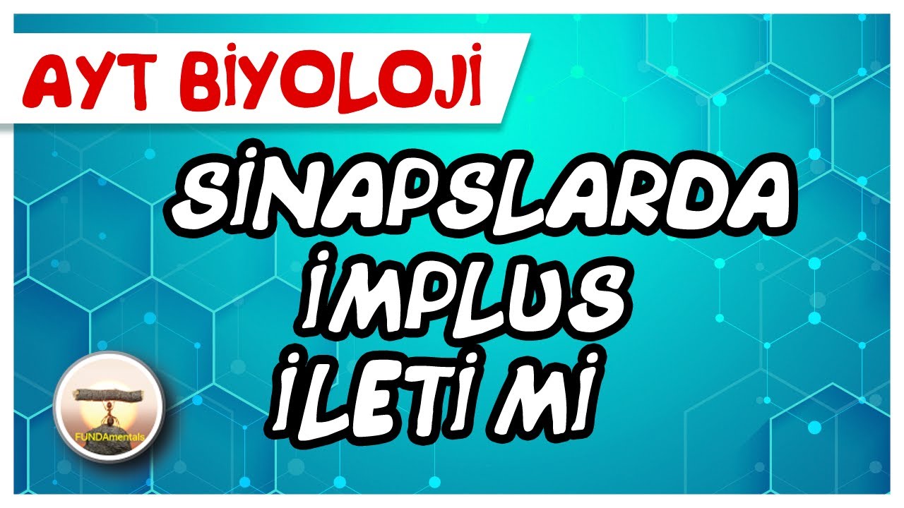 Sinapslarda İmpuls İletimi #sayfa16