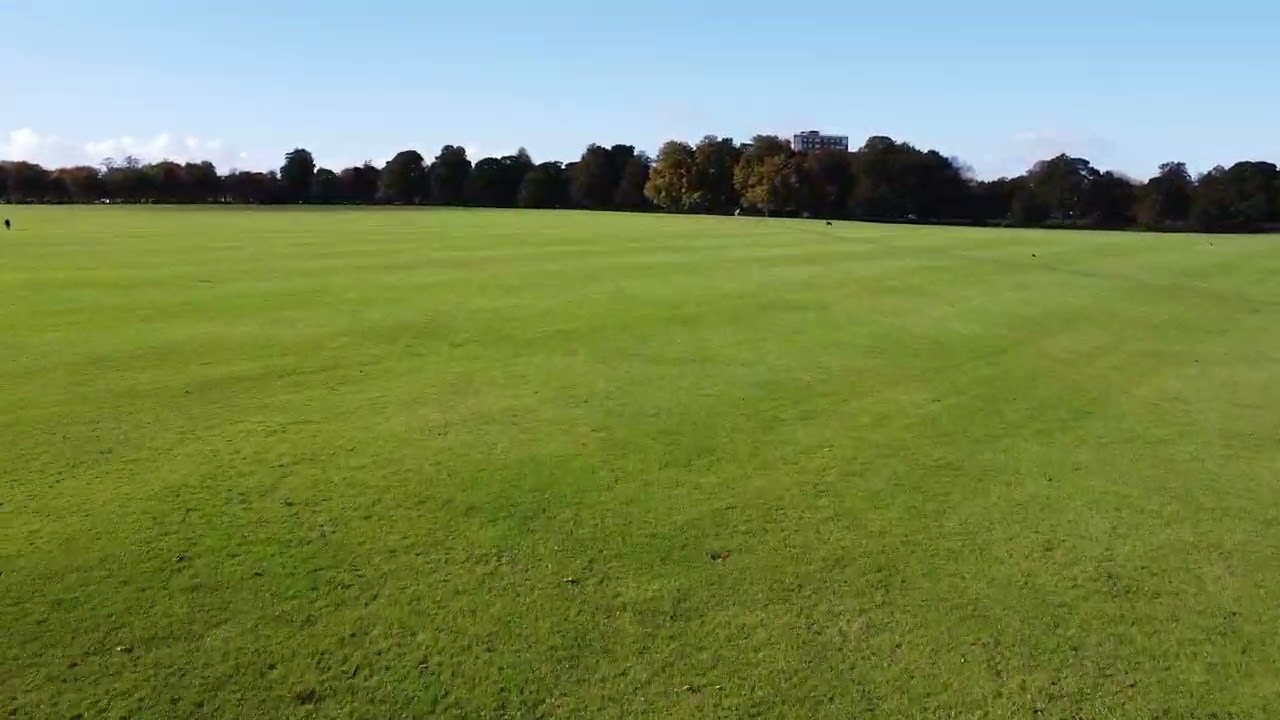 The Stray | Harrogate by Drone