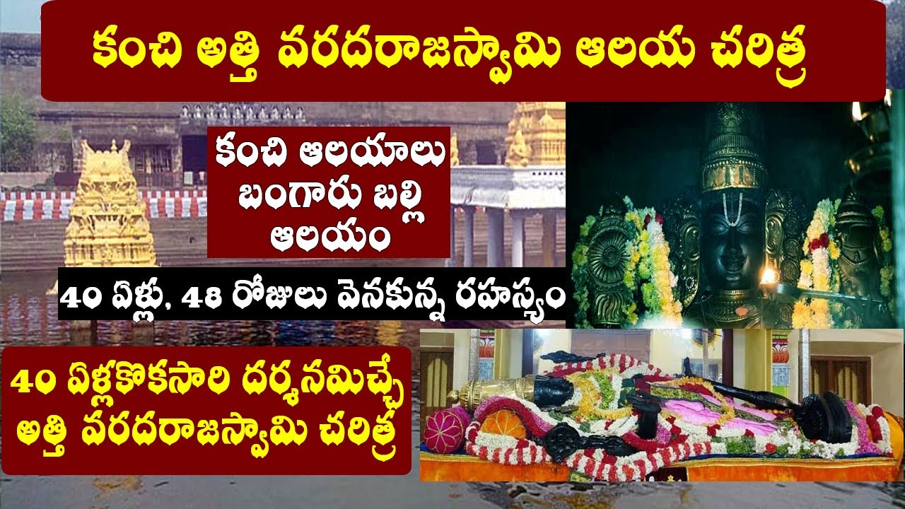 కంచి అత్తి వరదరాజ స్వామి/varadaraja swamy temple Kanchipuram/athi varadaraja perumal Kanchipuram