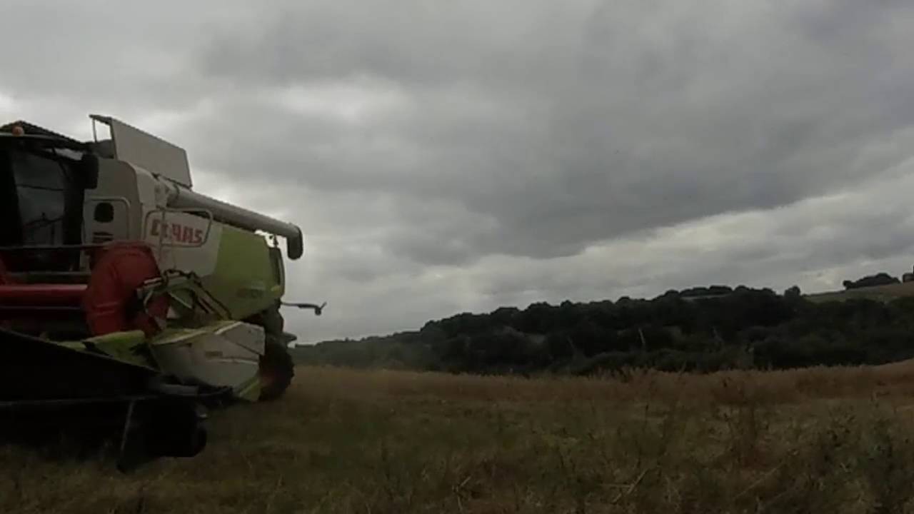 Moisson D'avoine 2016