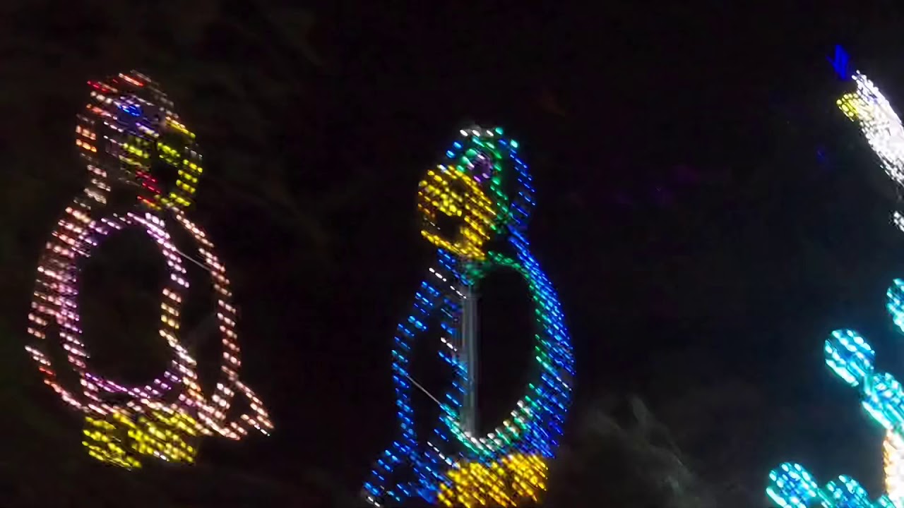 Zoo lights 2020
