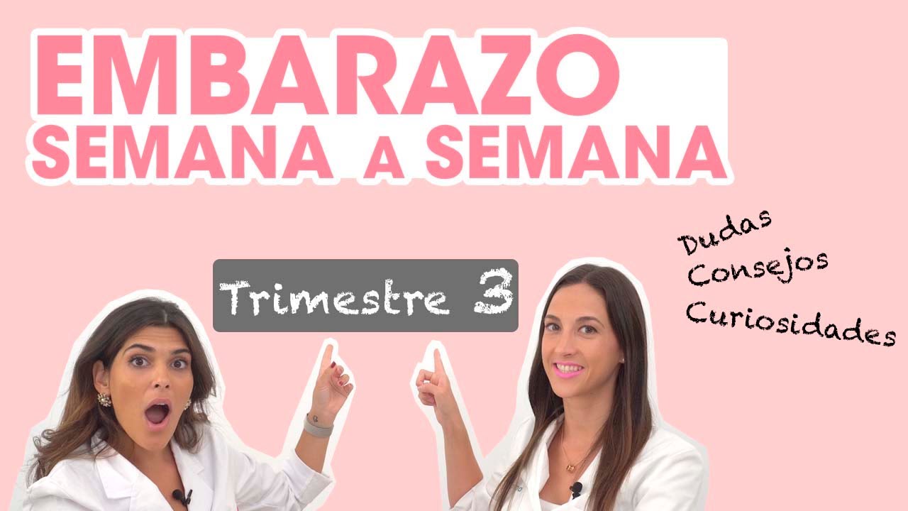 🤰🏻Dudas, consejos y curiosidades del EMBARAZO🤰🏻: ¡tercer trimestre! | Mifarma Farmacia